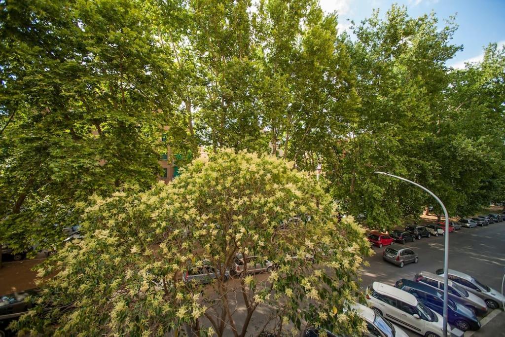 Great In Great Location Apartamento